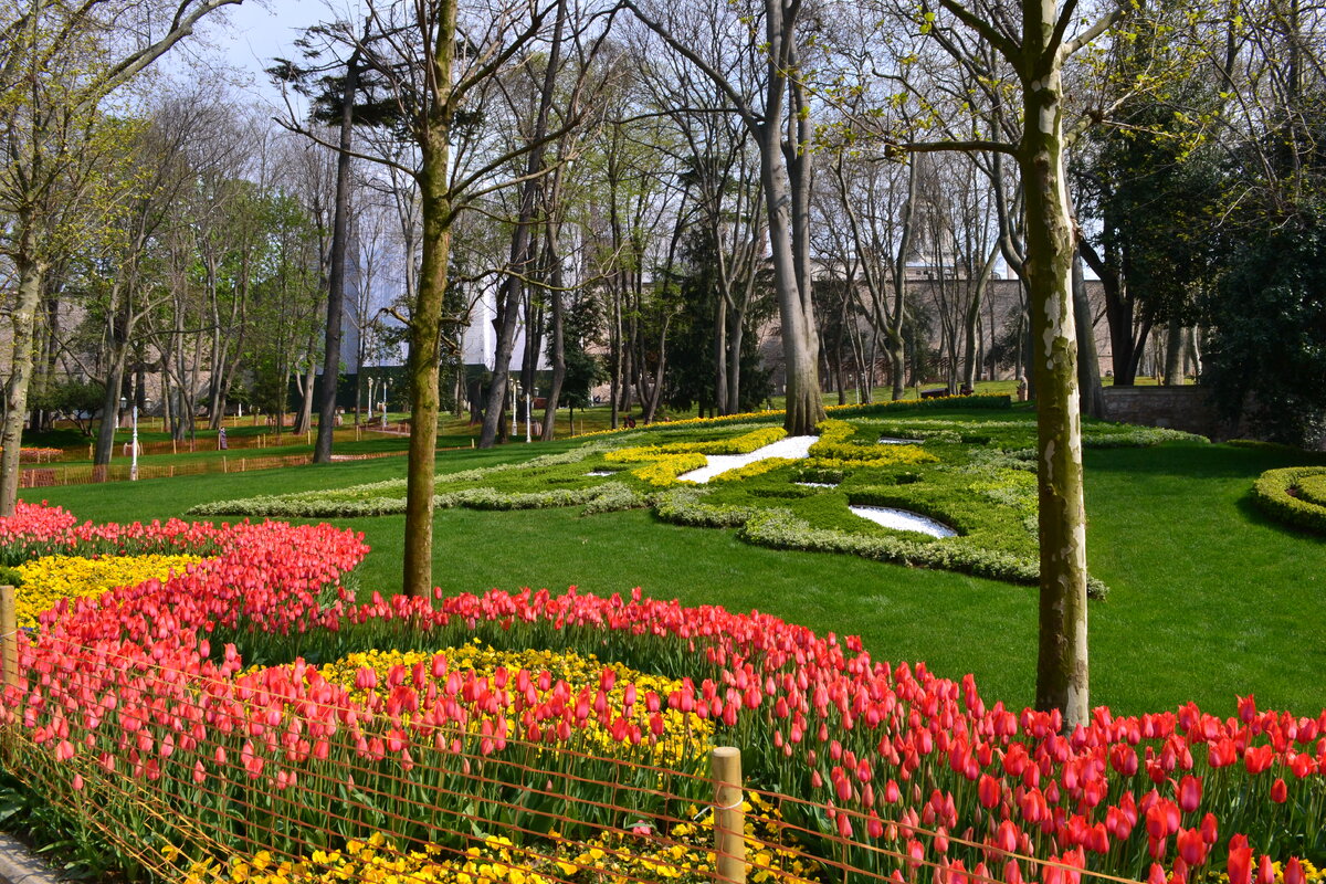 Фестиваль тюльпанов в стамбуле 2024 даты. Фестиваль тюльпанов в стамбуле 2024 даты. Стамбул в апреле фестиваль тюльпанов. Парад тюльпанов в стамбуле 2023. Фестиваль тюльпанов в стамбуле.