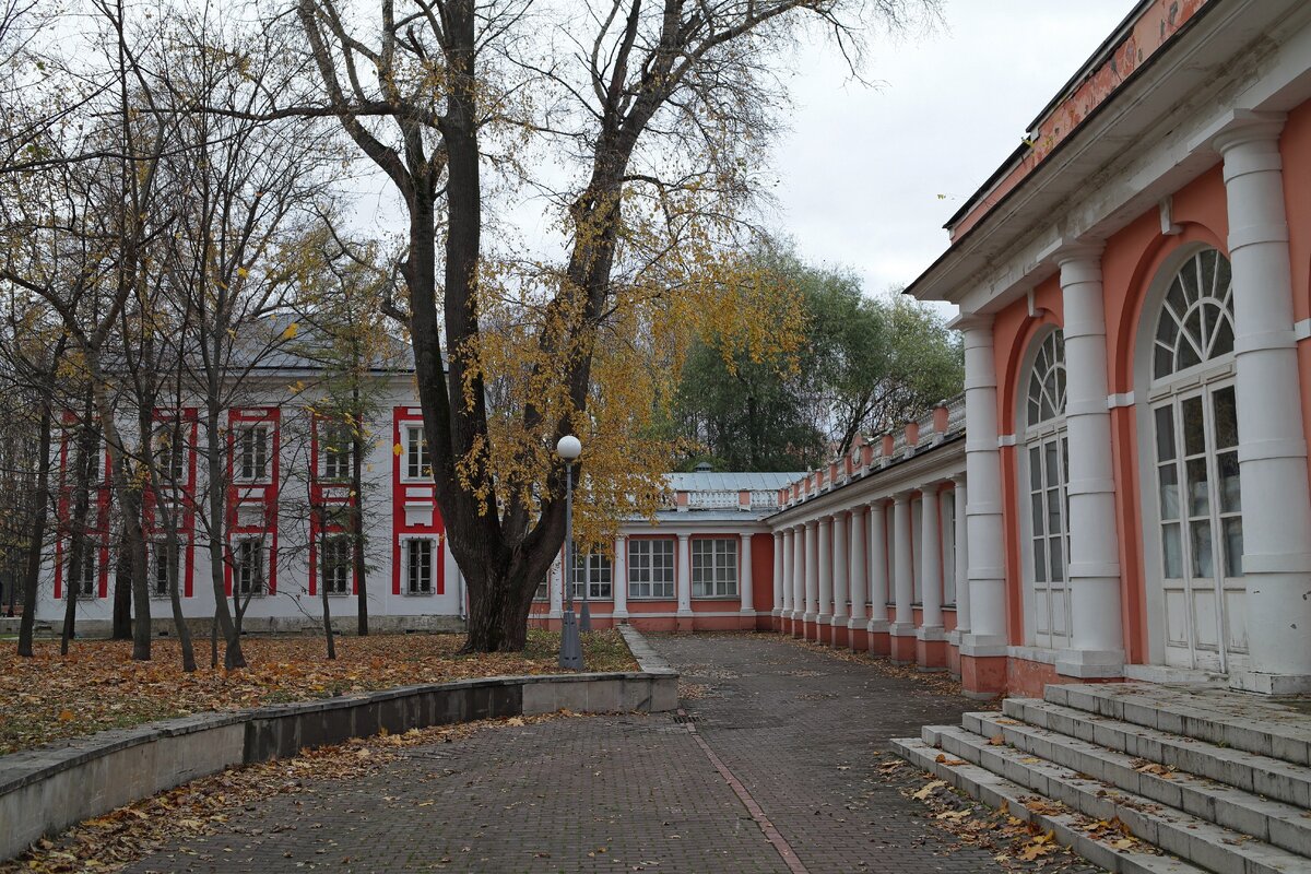 В Воронцовском парке