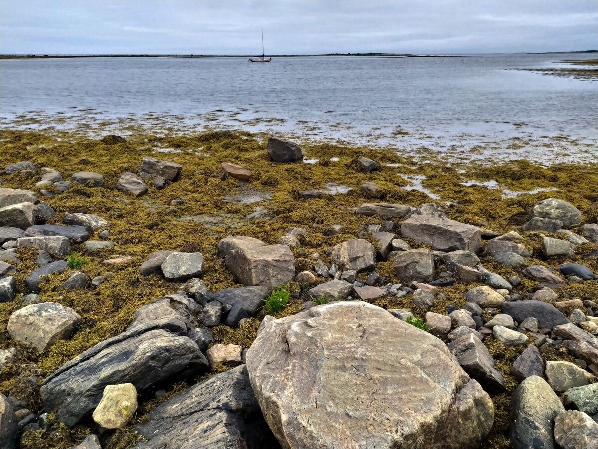 Белое море населенный пункт. Кандалакша залив белого моря. Остров Олений Кандалакшский залив. Остров Олений Карское море. Остров Олений белое море.