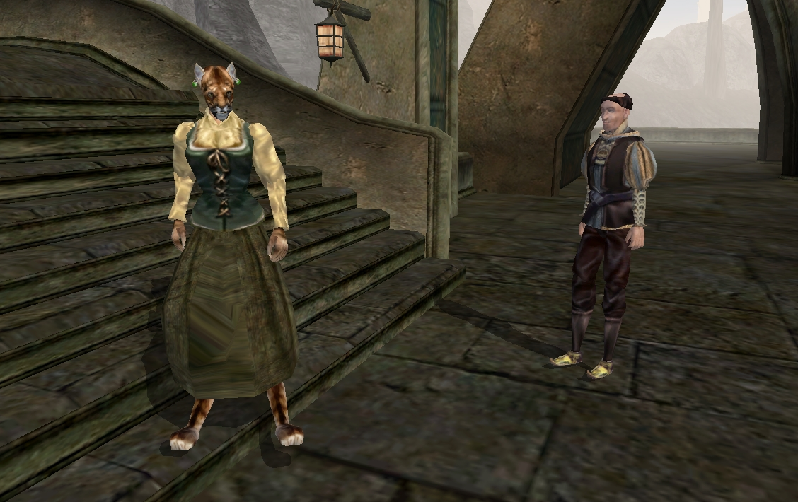 В будущем каджиты станут менее угловатыми.
 