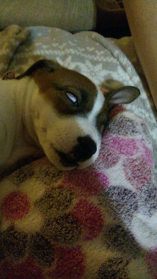 Зомбоглаз вторая стадия))