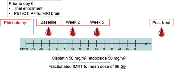 https://www.sciencedirect.com/science/article/pii/S2452109419300582