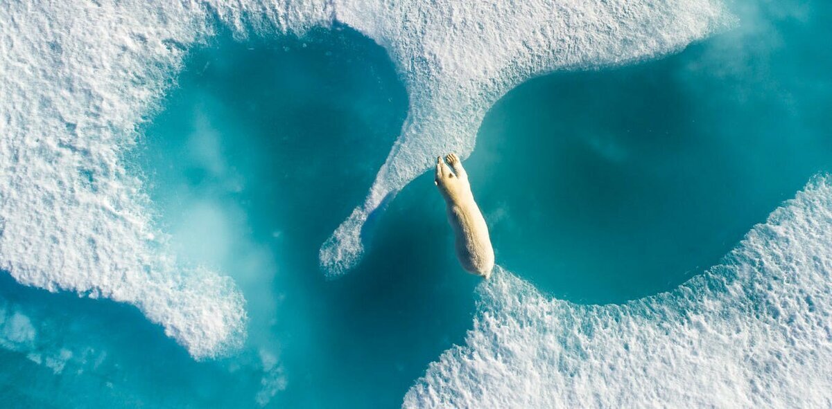 Nature Conservancy