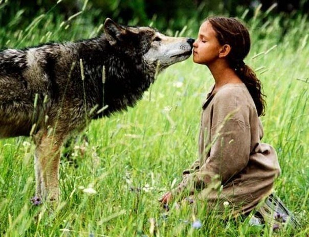 Фото использовано в качестве иллюстрации. Открытый источник Яндекс - картинки.