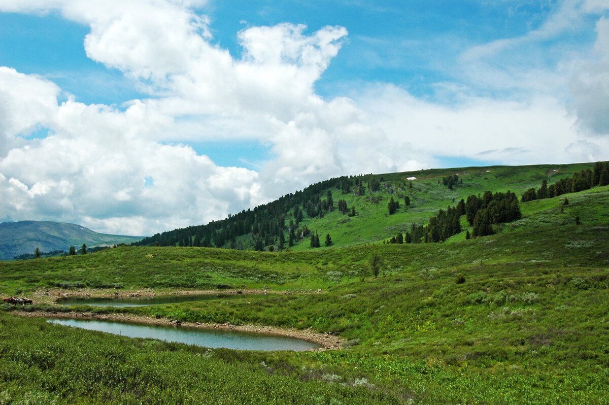 Гора Луковка горный Алтай
