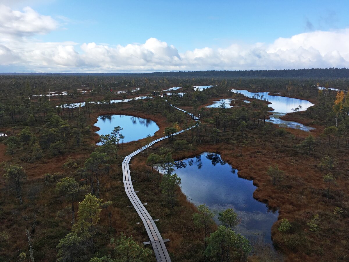 Национальный парк Kemeri