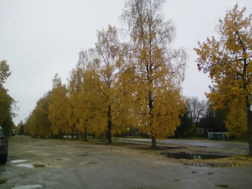 Главная улица посёлка