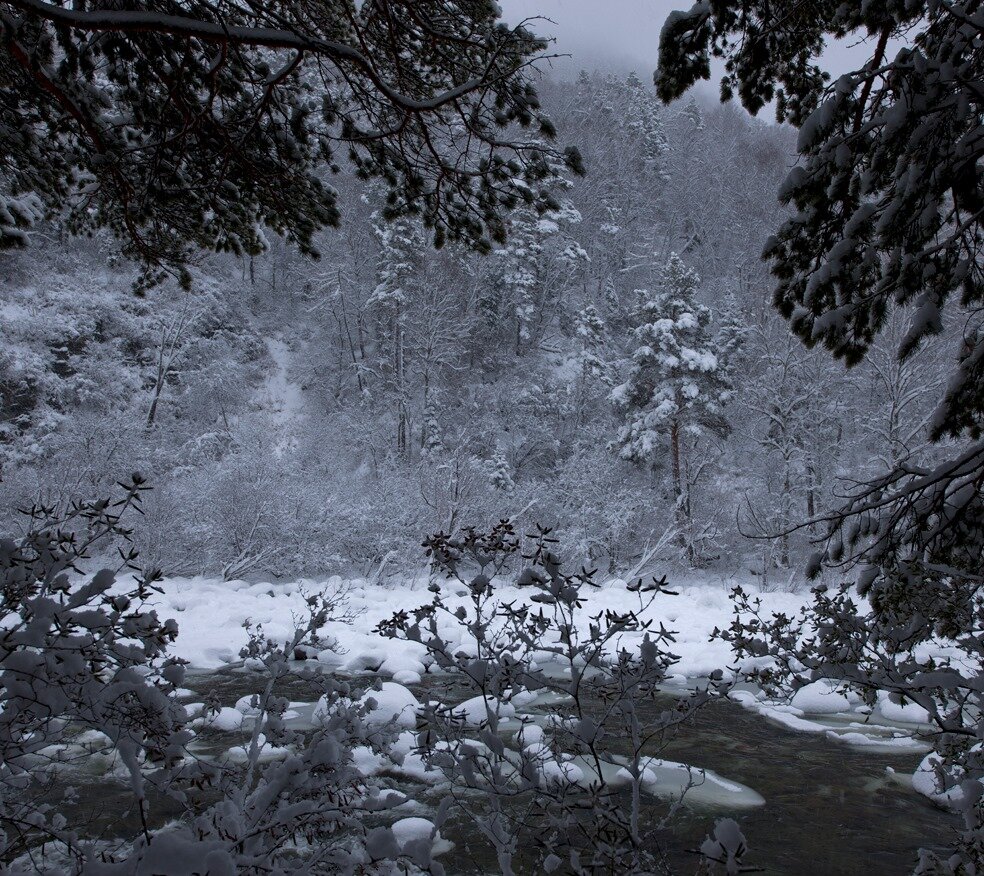 Река Кокши после сильного снегопада. Фото С. Усик
