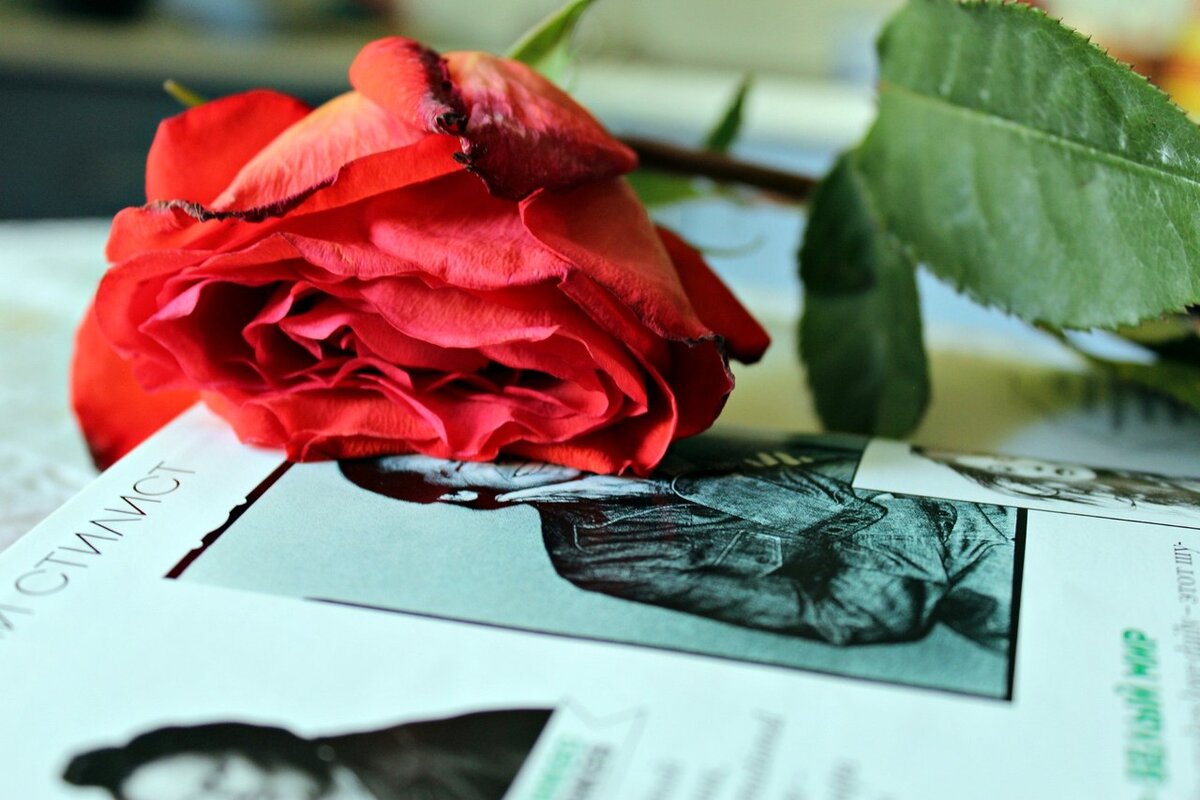 С любовью,Полифония