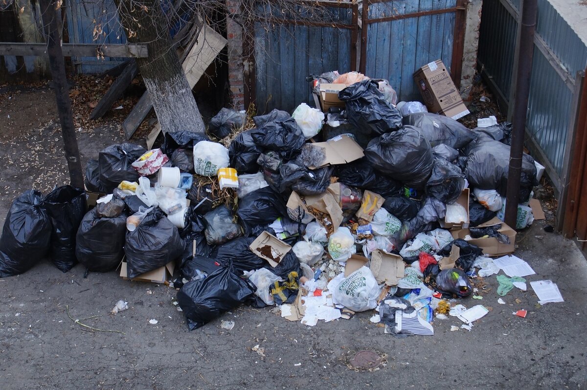 Фото: Радмира Спиридонова