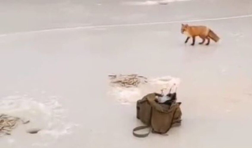 Кадр из видео Instagram @ole1097