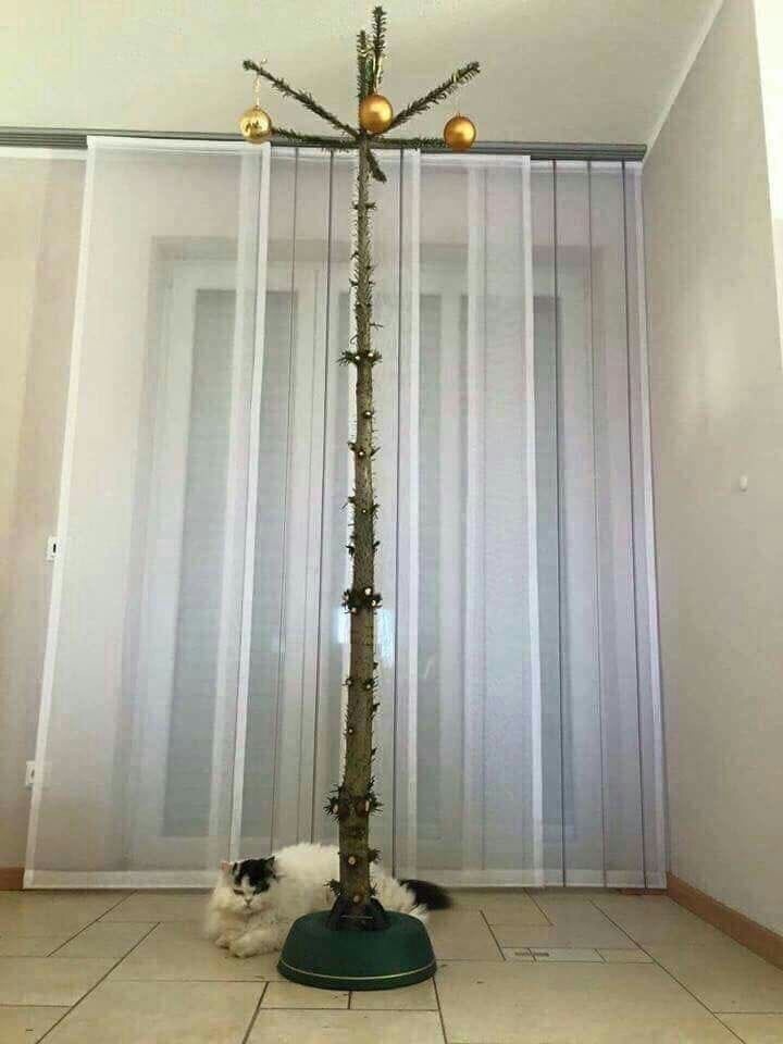 Фото из соц. сети
