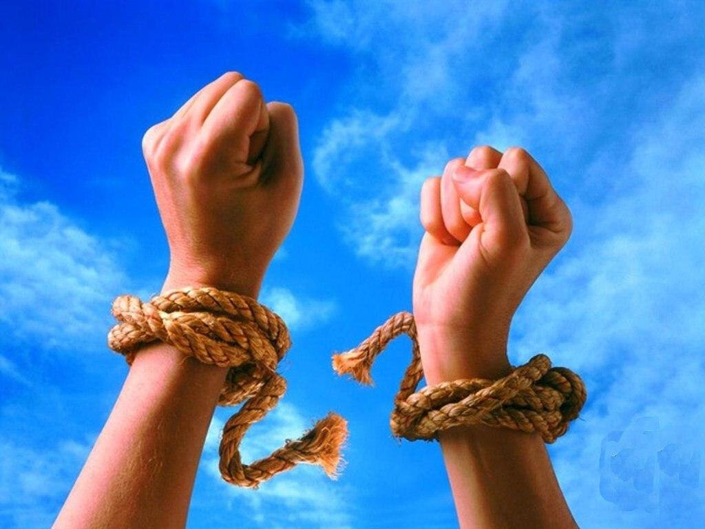 "Картинка взята с источника Яндекс-картинки"