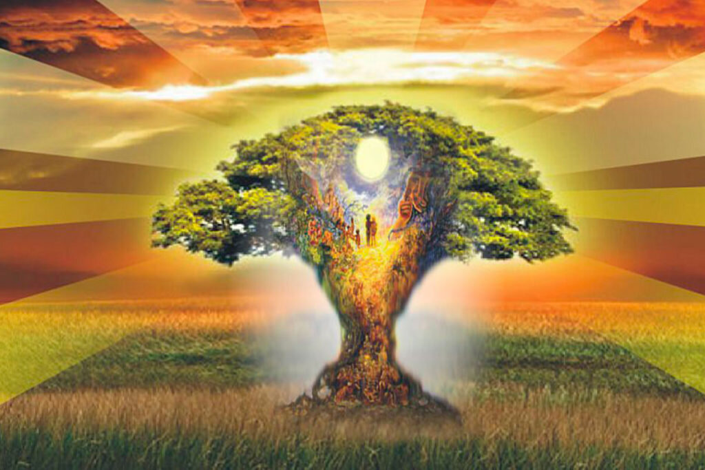 Мудрость рода путь. Дерево рода. Сила рода. Сила рода Древо. Энергия рода.