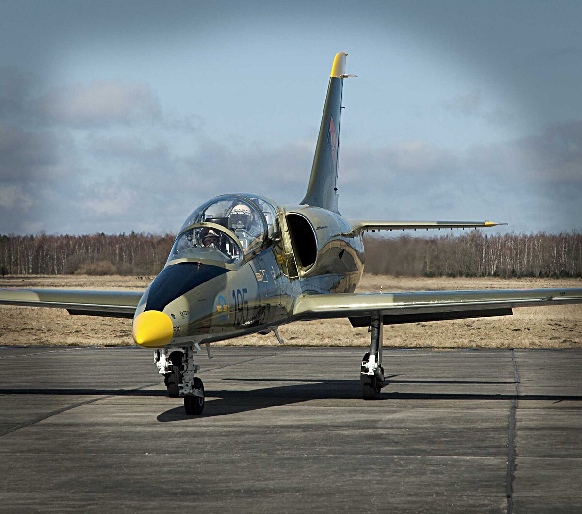 Л-39 Альбатрос.