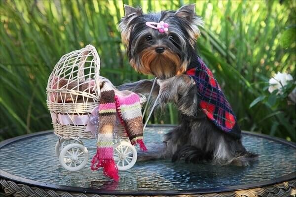 Фото из открытых источников. Иллюстрация.