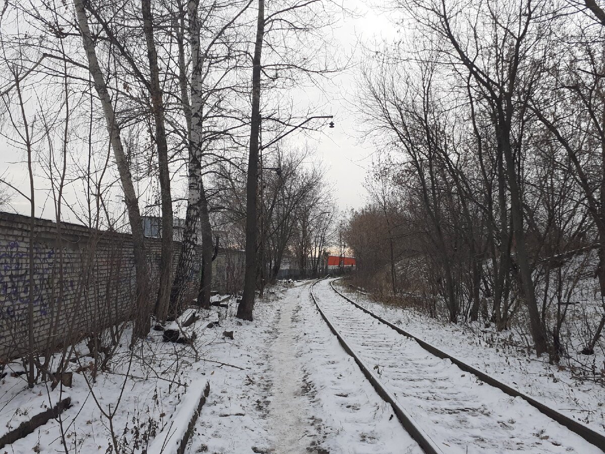 Электрички панки электрозаводская