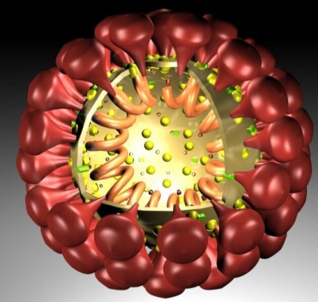 От меня можно спастись обычной логикой! (с) Коронавирус 2020