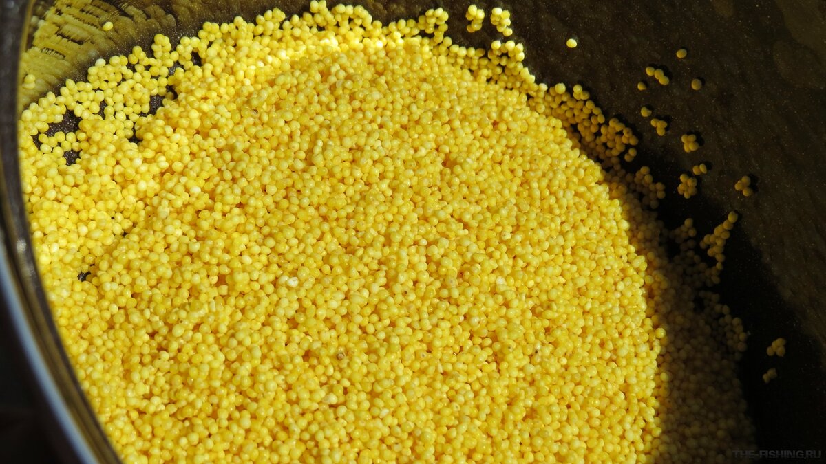 Промытое пшено