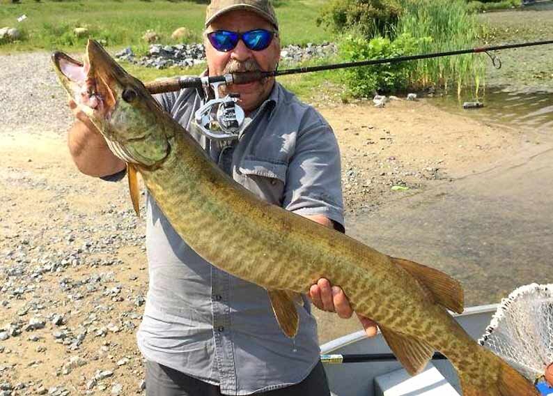 Рыболовную катушку Straightcast с разворачивающейся на 180 гр. шпулей и, тем самым уменьшающей закручивание лески разработал изобретатель Mark Kendra.