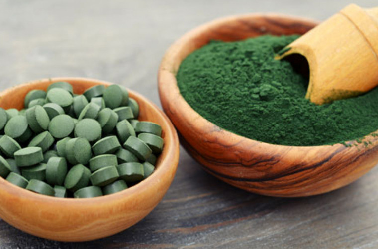 поисковая система Google 