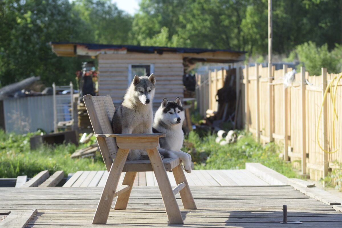 Эй смотри они решают кого и когда стерилизовать!