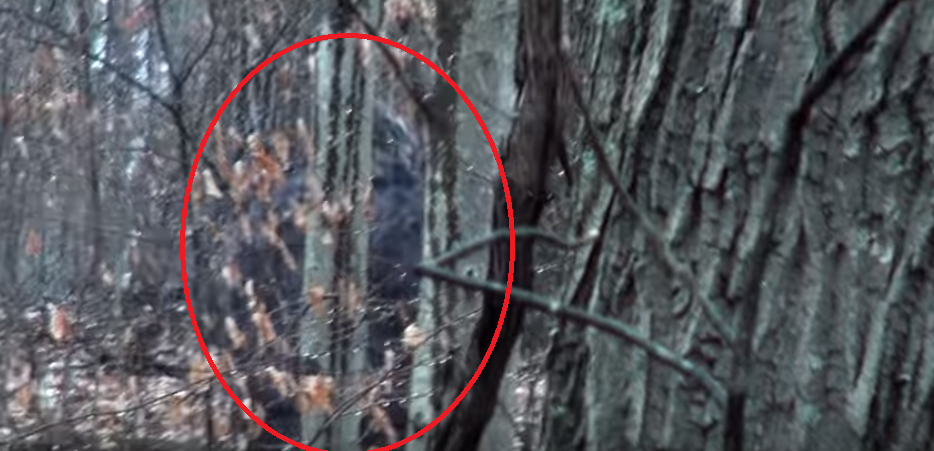 YouTube.com Канал "We Do It Outdoors"