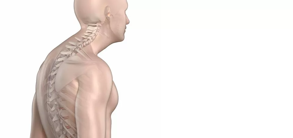 Изображение взято из открытых источников