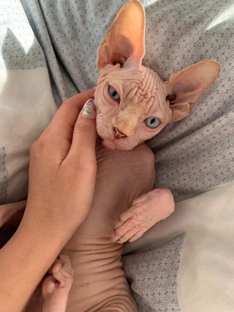 Когда еще не знали, что будет со светлым постельным бельем))