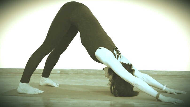 Тоже собака, и тоже не скажешь.