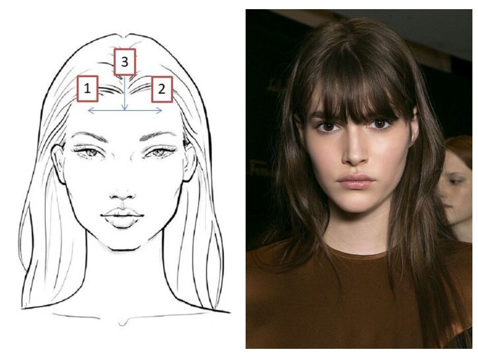 1, 2 - лобные впадины, 3 - середина (от макушки до краевой линии челки)