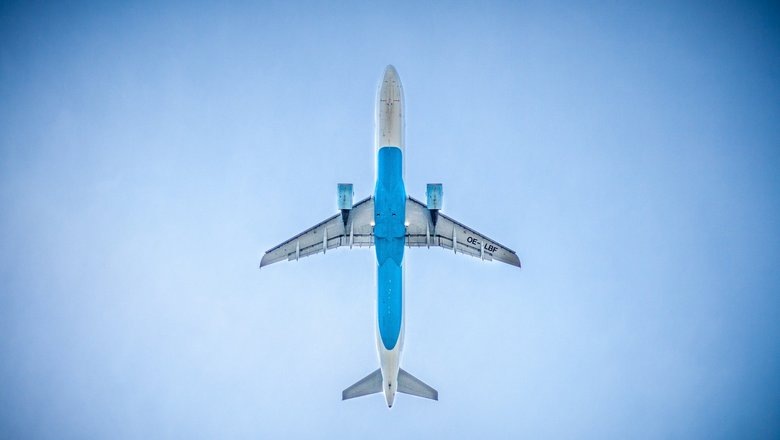  Фото: pixabay.com 