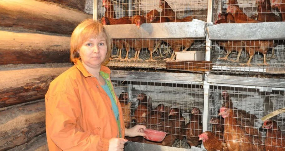 Фотография взята из источника onfermer.ru