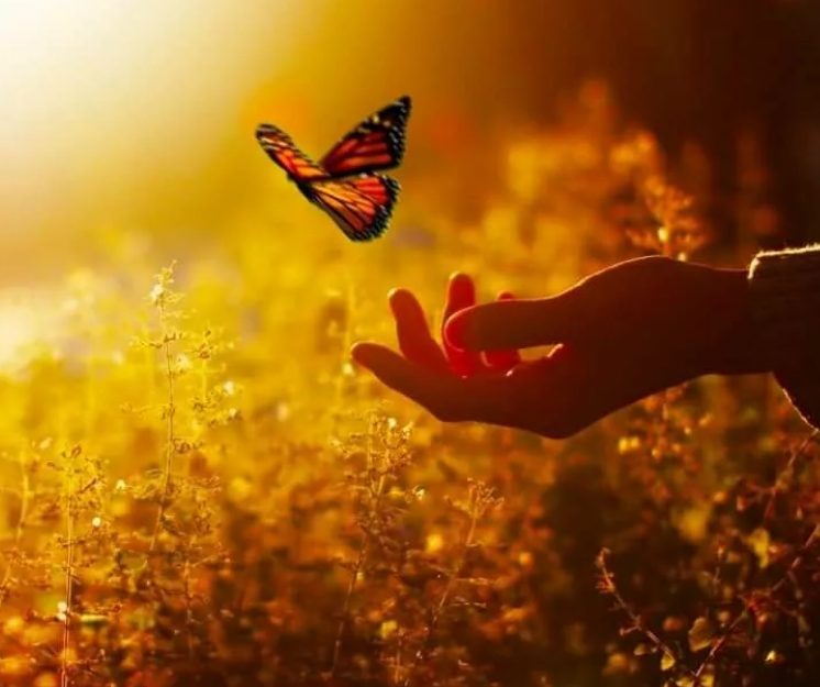 Картинка из интернет