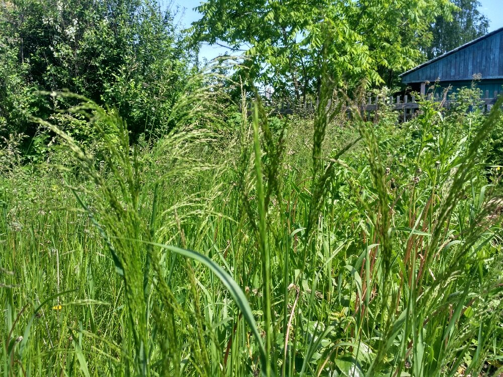 Раззудись, плечо, размахнись, рука!