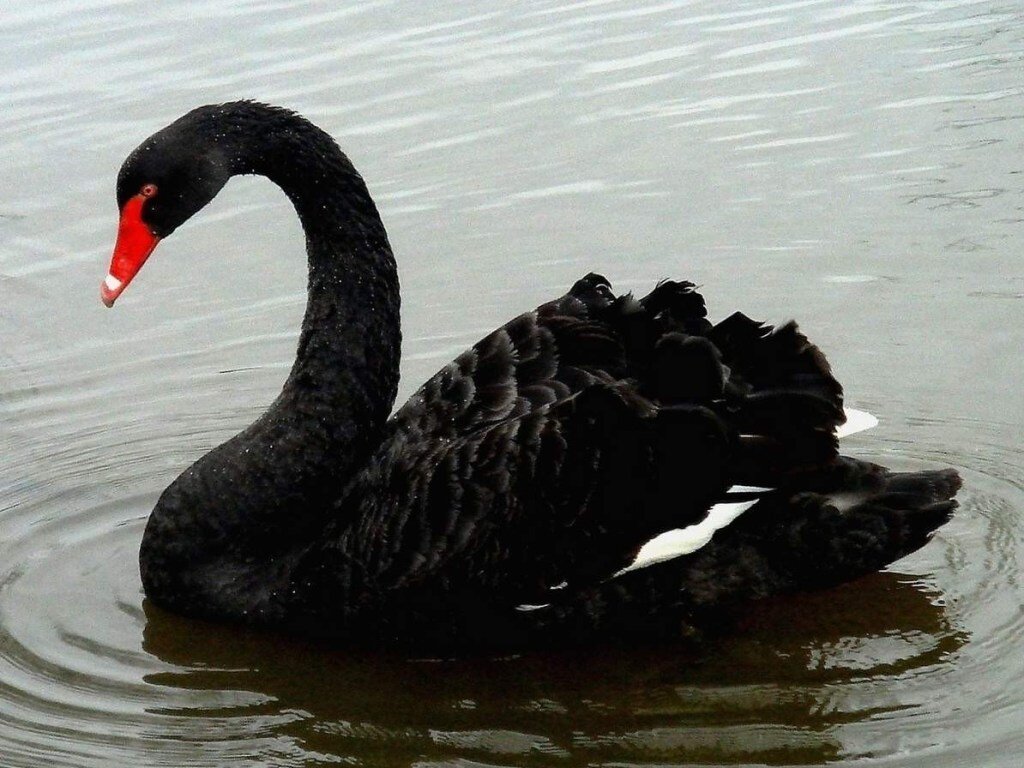  Стать лучше, чем до стресса