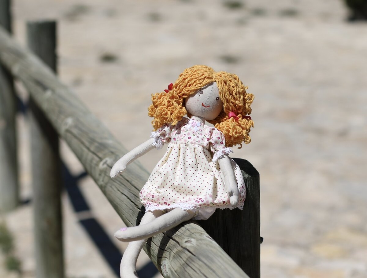 Дуся - пятый пассажир, который сопровождает нас во всех поездках)