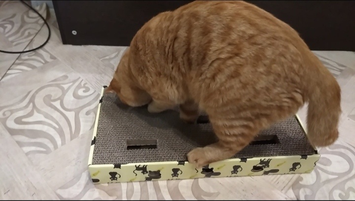 Затягивающая игра