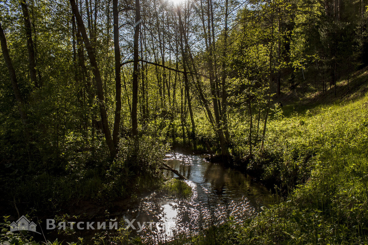 Речка перед лесом