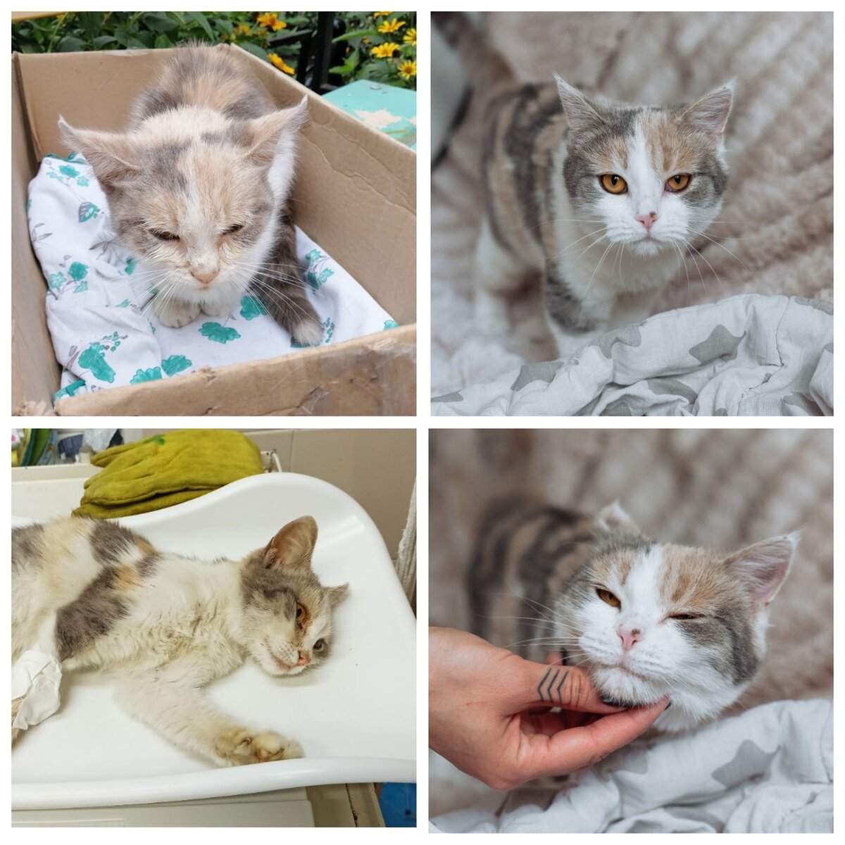 Катарина, поступила 25.08.20