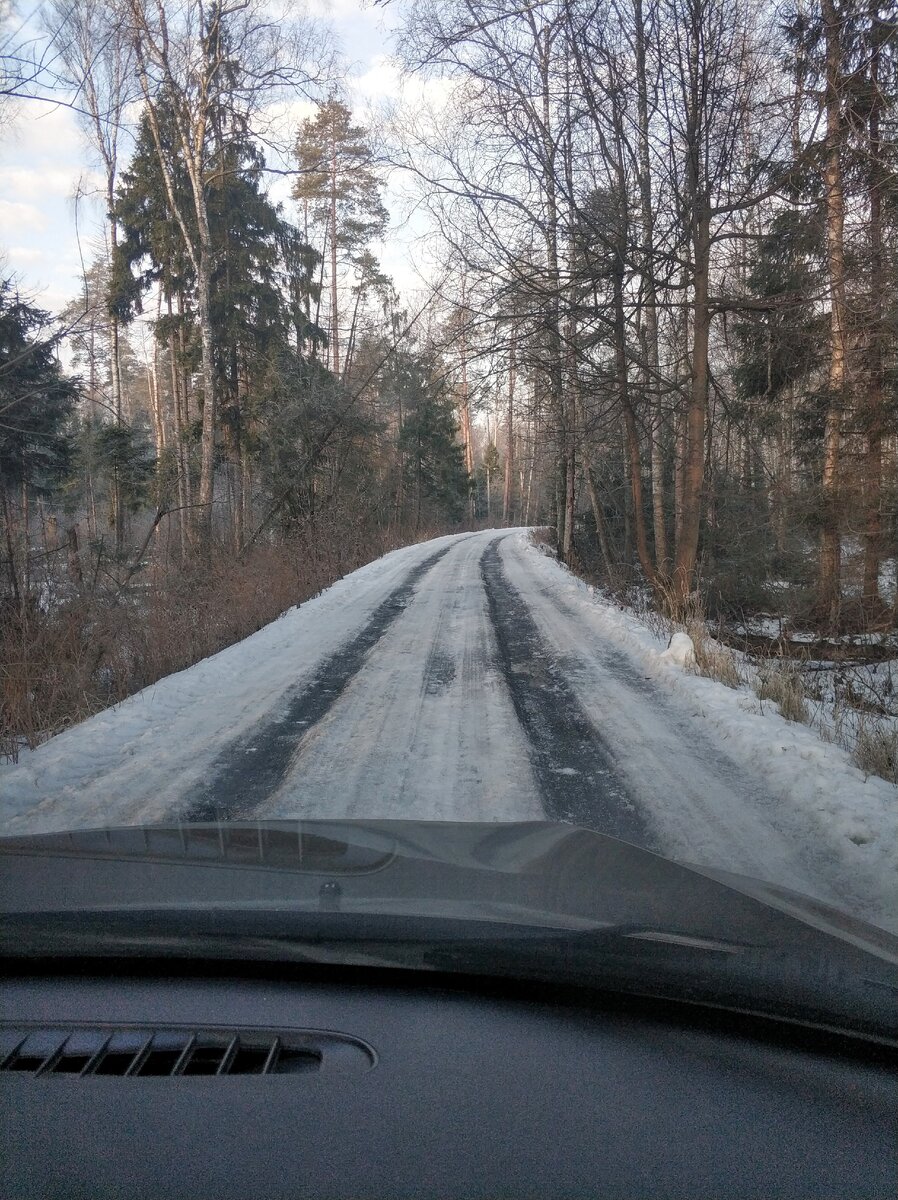 Лесная дорога к СНТ (фото автора)