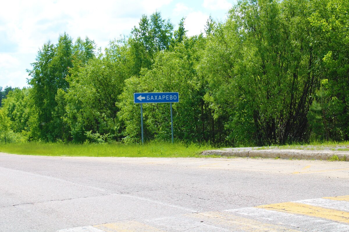 Красивая деревня в Нижегородской области, в которой живет мало людей,  приезжайте, стройтесь и живите | Под зонтиком | Дзен