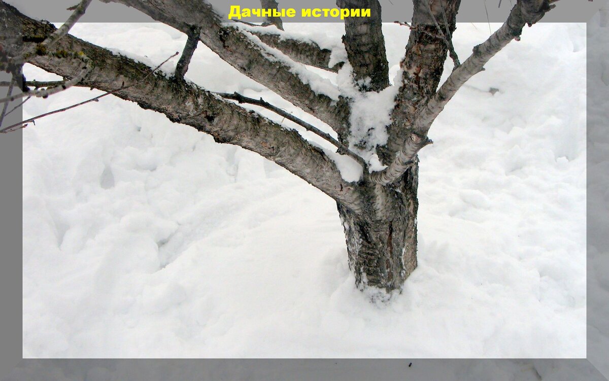 https://vk.com/photo-159774511_457245064
