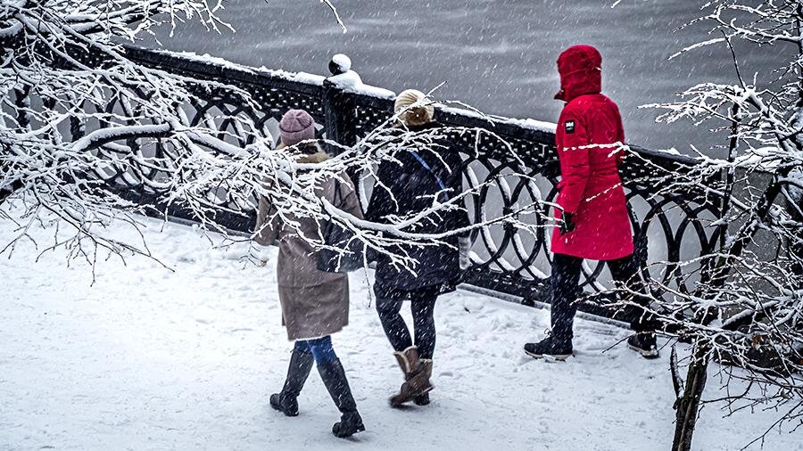 Фото: ИЗВЕСТИЯ/Константин Кокошкин