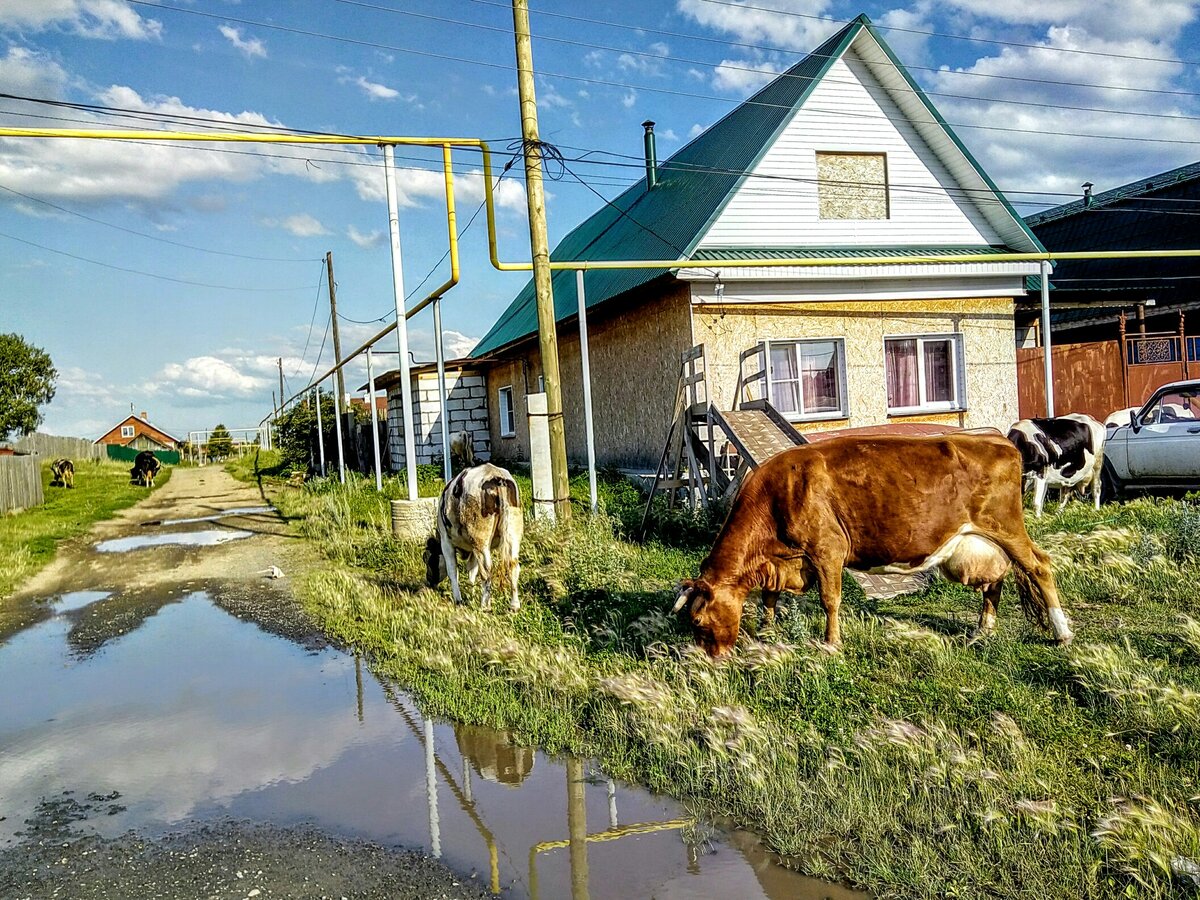 Доброго здравия, читатель!