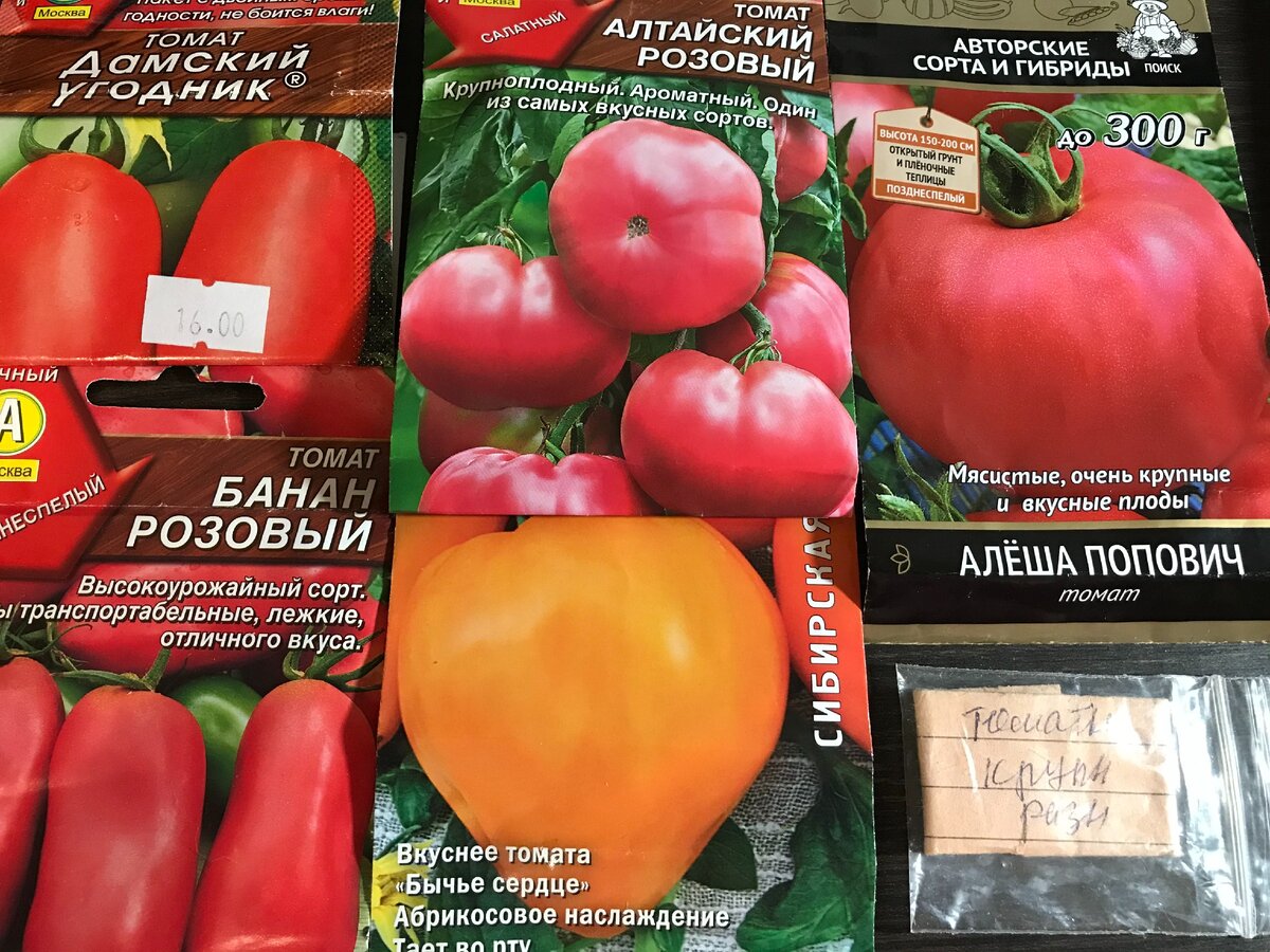 высокорослые сорта томатов, которые я сею