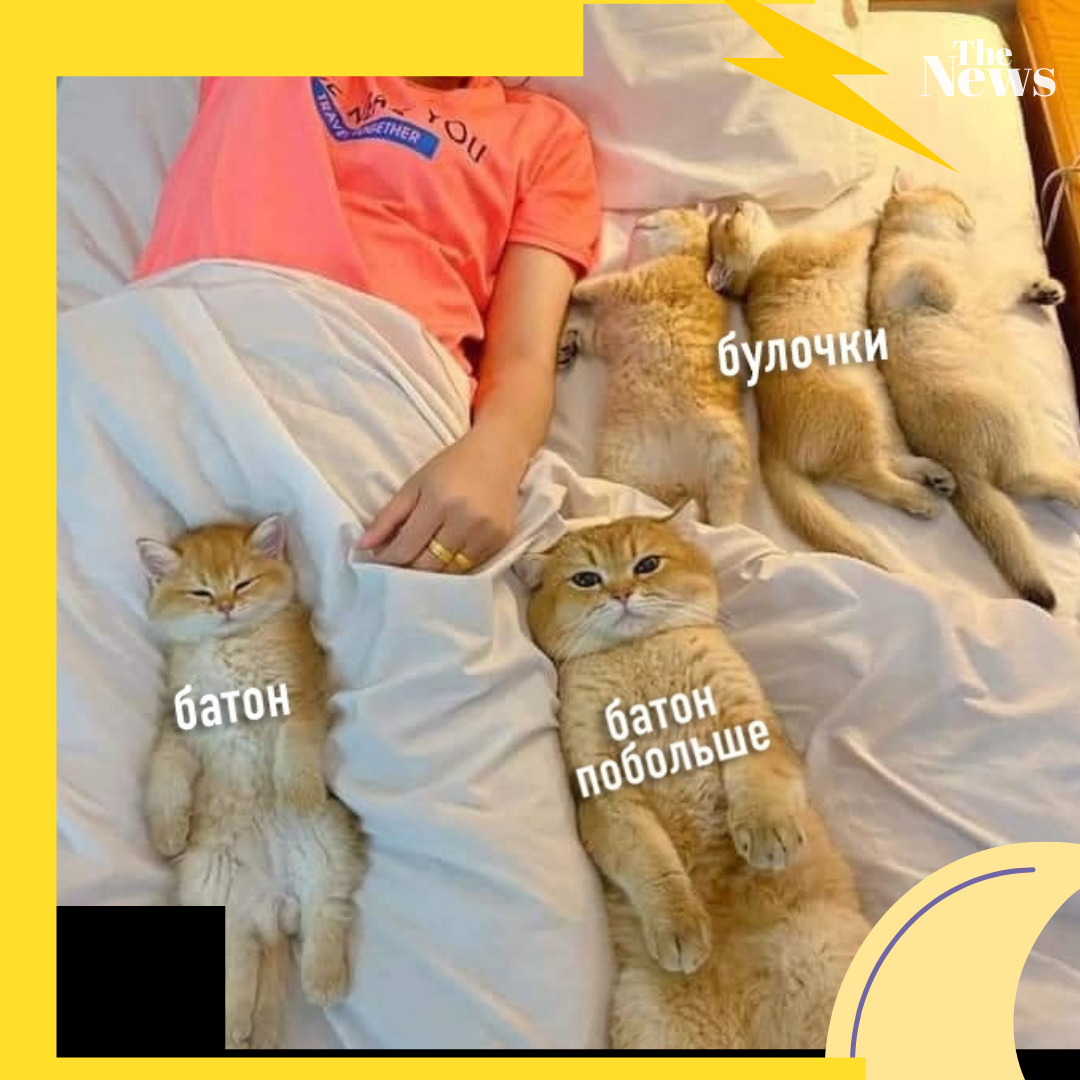 Я только прилег, что вы лезете?!