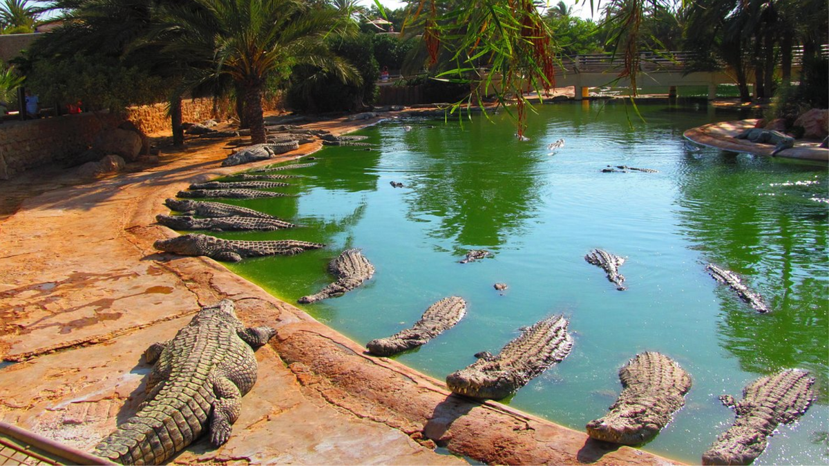 Источник: tripadvisor, Andreia L.