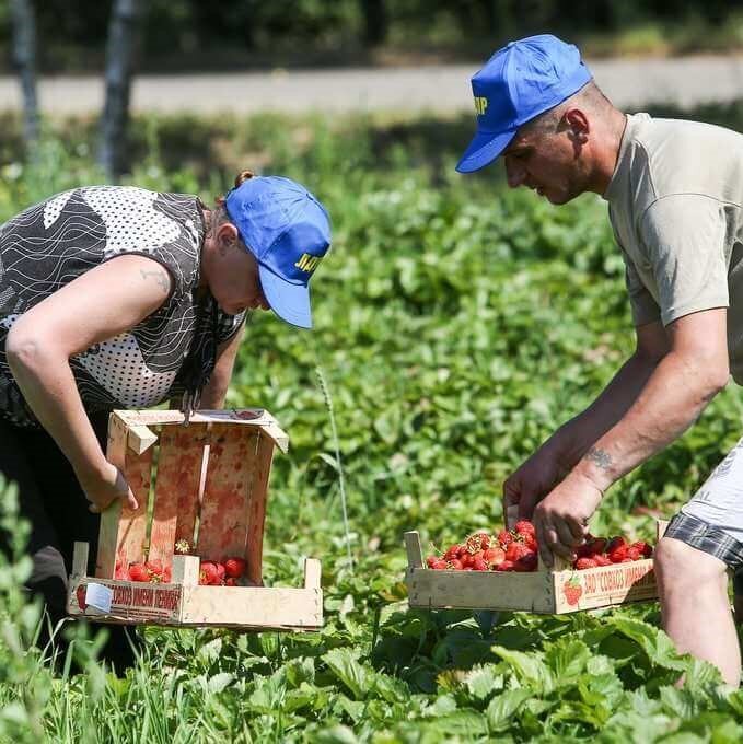 Из открытых источников