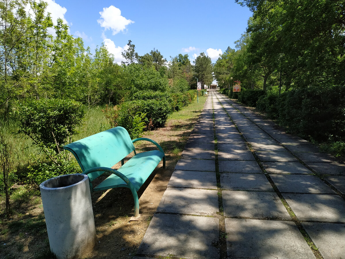 Та самая аллея